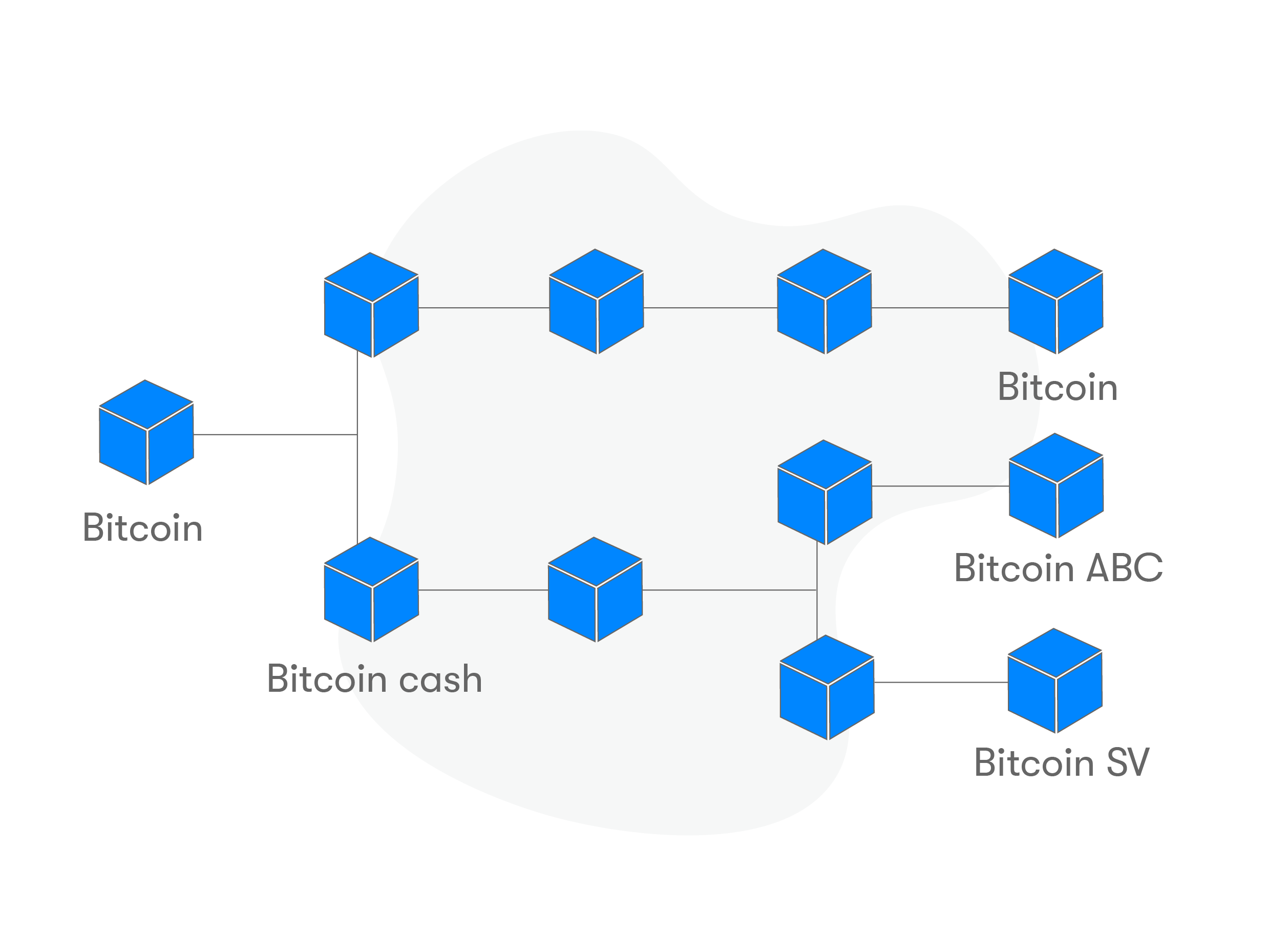 Uber Bitcoin Cash - 